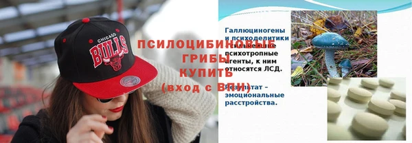 крисы Алексеевка